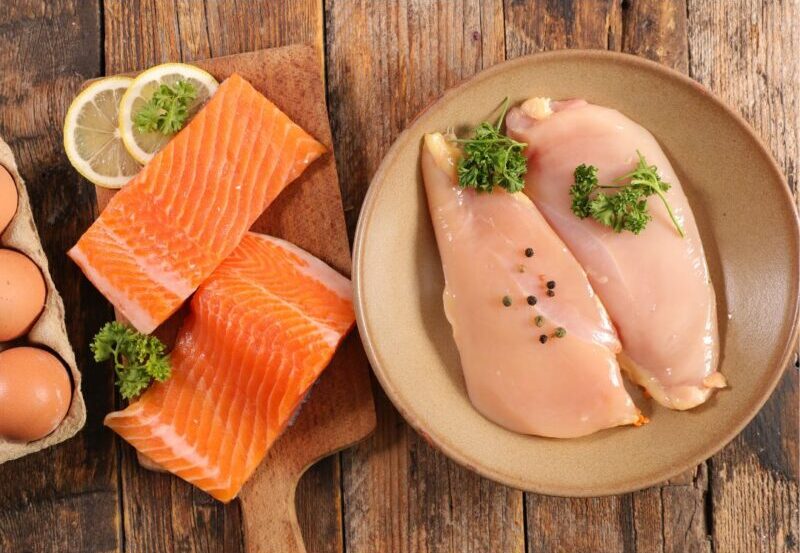 キャットフードは肉と魚どちらがいい？実は肉好きが多い日本猫