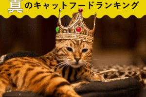 徹底比較！真のキャットフードランキング