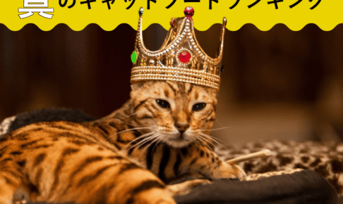 徹底比較！真のキャットフードランキング