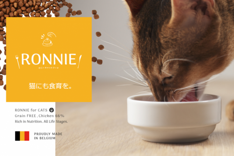 キャットフードのイチオシ通販サイト。Amazonや楽天、猫用品専門サイトの配送日や送料比較！ キャットフード勉強会