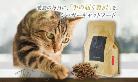 ジャガー キャットフードの口コミ評価、評判、おすすめ商品を徹底解剖！