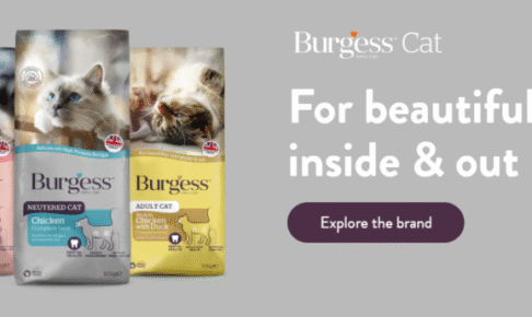 Burgess（バージェス）キャットフードの口コミ評価、評判、おすすめ商品を徹底解剖！