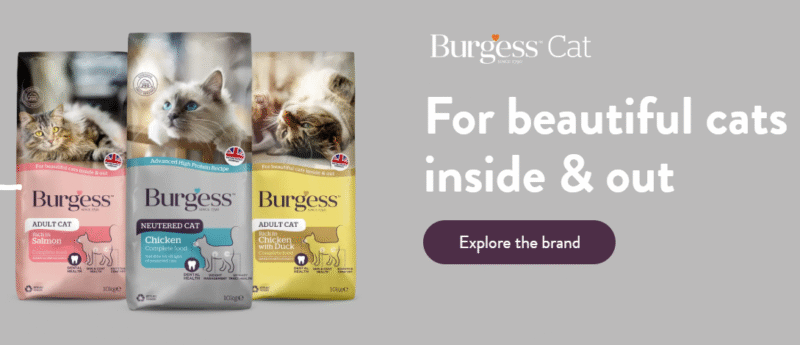 Burgess（バージェス）キャットフードの口コミ評価、評判、おすすめ商品を徹底解剖！