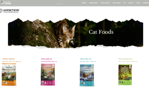 ADDICTION（アディクション）の口コミ評価、評判、おすすめ商品を徹底解剖！