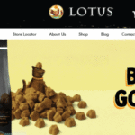 LOTUS（ロータス）キャットフードの口コミ評価、評判、おすすめ商品を徹底解剖！