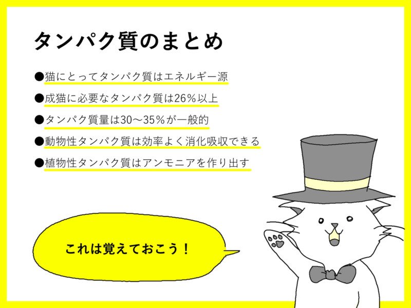 キャットフード タンパク質 まとめキャットフード タンパク質 まとめ