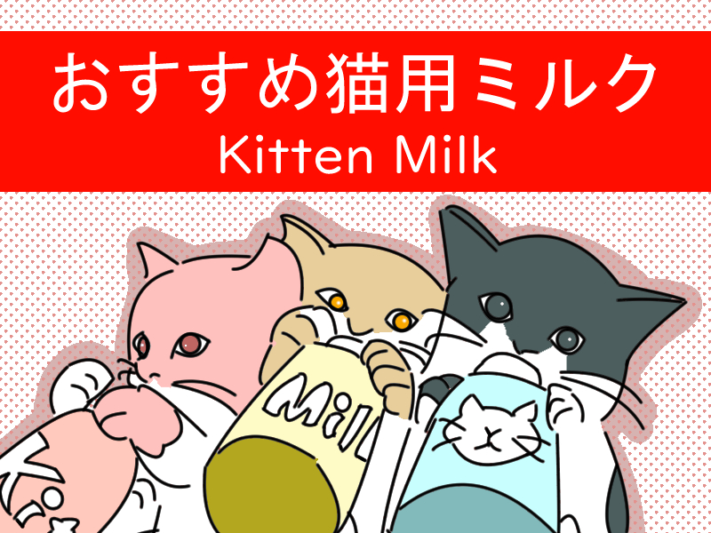 子猫におすすめのミルク！選び方や種類を解説。成猫や高齢猫用ミルクも紹介 | キャットフード勉強会