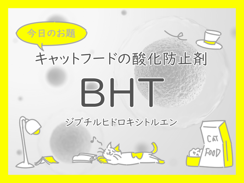 BHTの記事画像