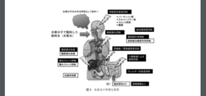 水素　キャットフード　効果