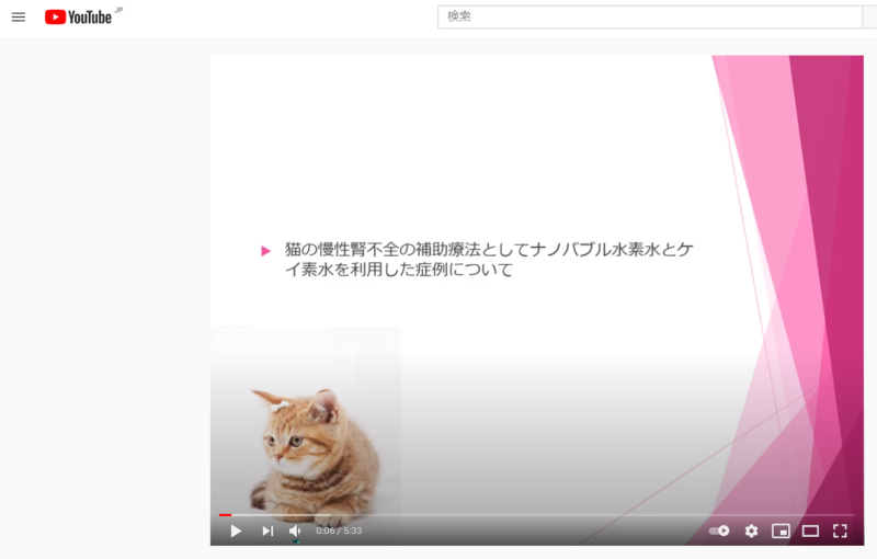 キャットフードのケイ素。猫の腎臓病(腎不全)への効果とシリカ結石の 