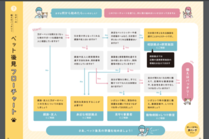 もし自分が死んだら猫はどうなる？愛猫を守るための「ペット後見」について