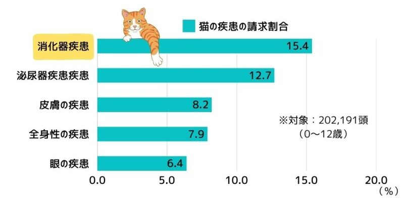 乳酸菌FK-23は生菌の3倍効果！猫の免疫活性作用をさらに高める食べ物や方法は？