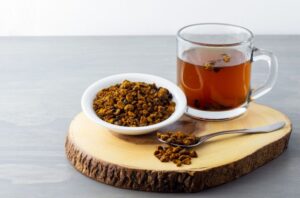 キャットフードのチャーガ。抗酸化・免疫サポートがん抑制の自然素材!投薬中の猫は注意が必要