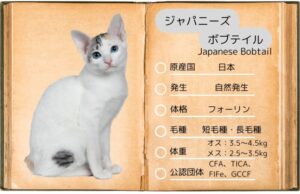【ジャパニーズボブテイル】性格・飼い方・かかりやすい病気まで完全解説|相性診断つき