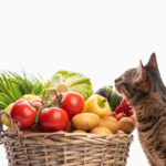 猫が中毒症状を起こす危険な食べ物一覧。身近にある野菜や果物によるアレルギー症状・対処法を解説