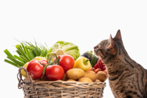 猫が中毒症状を起こす危険な食べ物一覧。身近にある野菜や果物によるアレルギー症状・対処法を解説