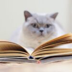 猫手帳があると安心！重要性とメリット、記録する項目について