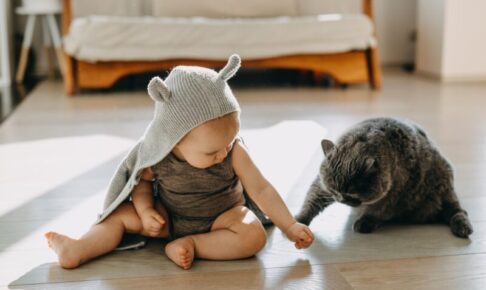猫と赤ちゃんが一緒に暮らすときに気をつけたいこと。安心して共生するための注意点と対策