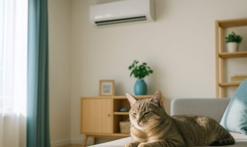 夏の冷房、猫が寒がっていない？エアコンの適切な温度と留守中の工夫