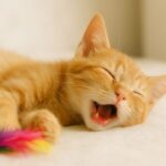 猫が口を開けて寝るのはなぜ?考えられる原因と注意すべき病気、飼い主が取るべき行動とは