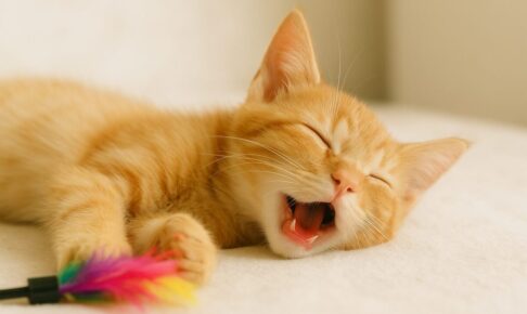 猫が口を開けて寝るのはなぜ?考えられる原因と注意すべき病気、飼い主が取るべき行動とは