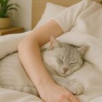 猫が飼い主と同じベッドで寝るのは大丈夫？睡眠の質や注意点を解説