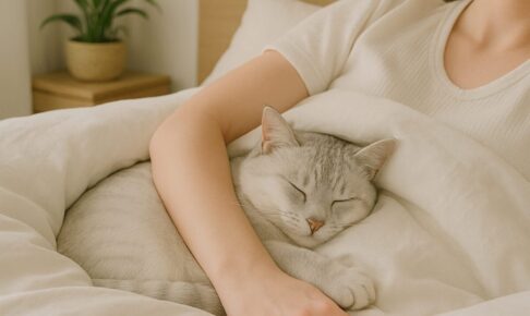 猫が飼い主と同じベッドで寝るのは大丈夫?睡眠の質や注意点を解説