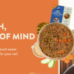 Kito Pet Food（キト）口コミ評価、評判、おすすめ商品を徹底解剖！