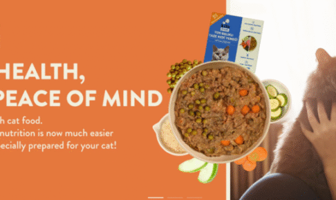 Kito Pet Food（キト）口コミ評価、評判、おすすめ商品を徹底解剖！