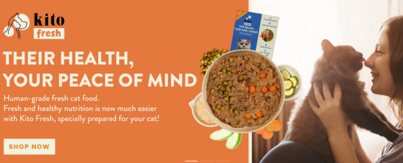 Kito Pet Food（キト）口コミ評価、評判、おすすめ商品を徹底解剖！
