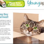 Young Again（ヤングアゲイン）口コミ評価、評判、おすすめ商品を徹底解剖！