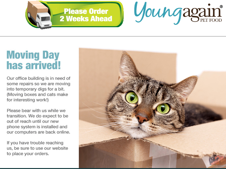 Young Again（ヤングアゲイン）口コミ評価、評判、おすすめ商品を徹底解剖！