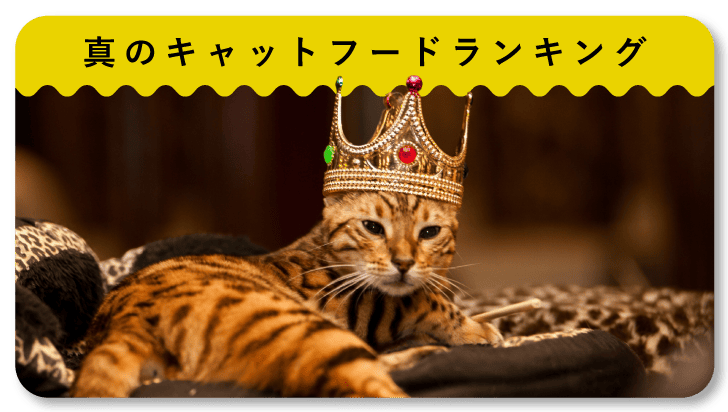 キャットフードランキング