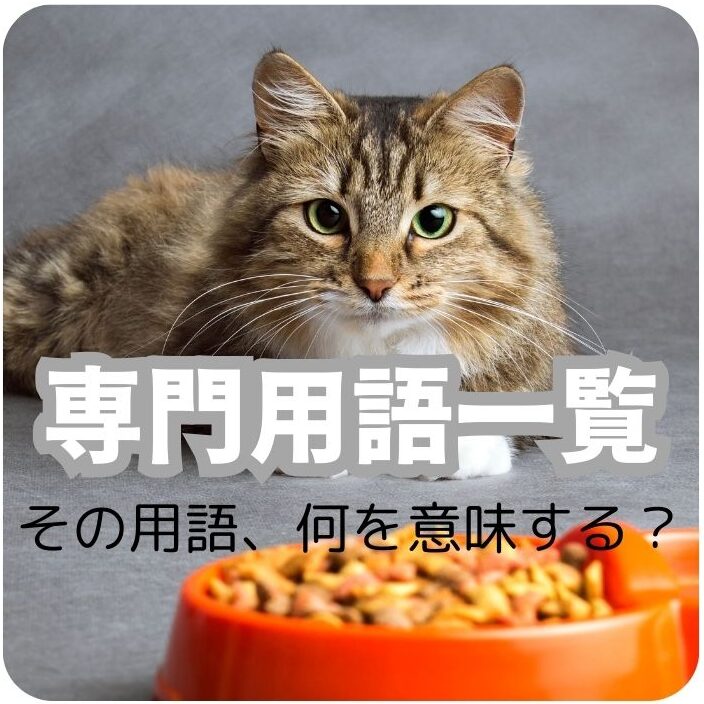 専門用語一覧