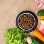 猫が食物アレルギーを起こしやすい食べ物は?食材と対策を解説