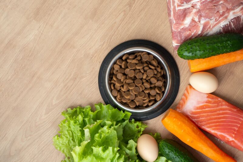 猫が食物アレルギーを起こしやすい食べ物は?食材と対策を解説