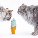 猫がアイスクリームを食べちゃった！症状や対処法、ひんやりおやつの代用など
