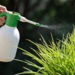 猫が除草剤を舐めた！除草剤による影響や中毒症状・対処法などを解説