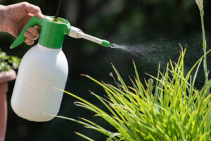 猫が除草剤を舐めた！除草剤による影響や中毒症状・対処法などを解説