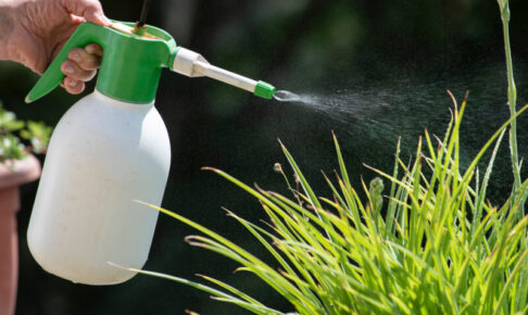 猫が除草剤を舐めた！除草剤による影響や中毒症状・対処法などを解説