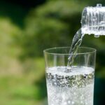 猫に炭酸水は大丈夫？腎臓や尿路結石のリスク、症状、対策などを解説