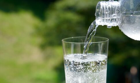 猫に炭酸水は大丈夫？腎臓や尿路結石のリスク、症状、対策などを解説