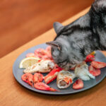 猫はカニやカニカマを食べられる?食中毒やアレルギーのリスク、症状、対処法を解説