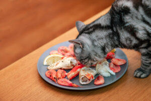 猫はカニやカニカマを食べられる？食中毒やアレルギーのリスク、症状、対処法を解説