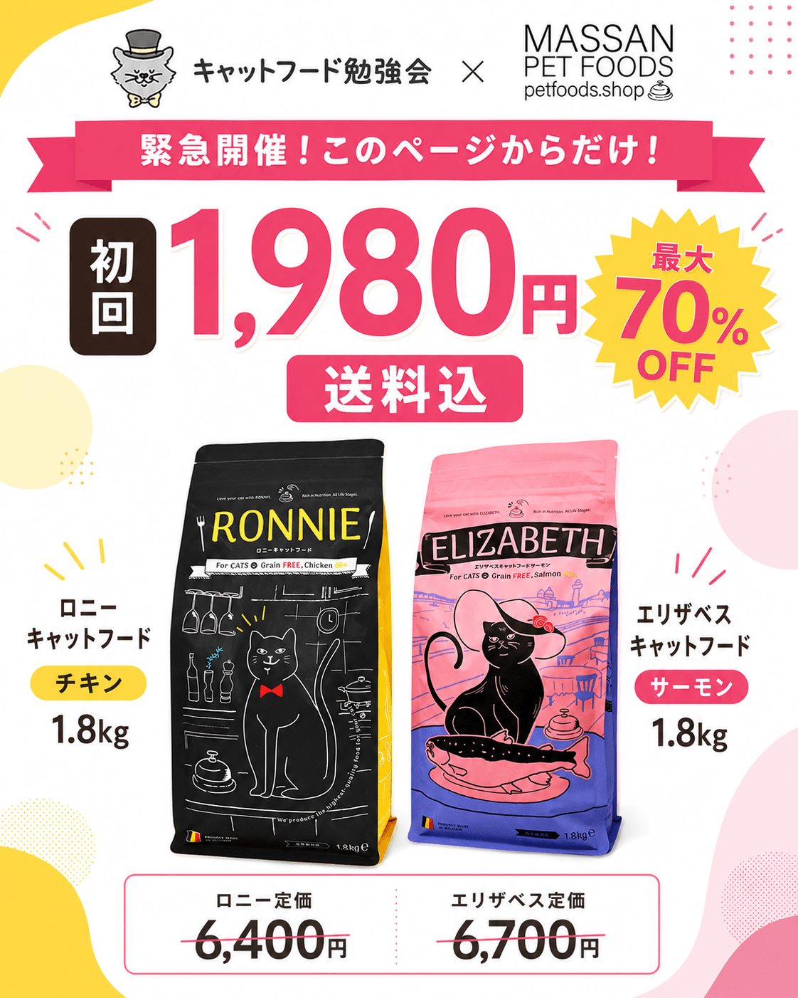 キャットフード勉強会特別企画!マッサンペットフーズ商品スペシャルキャンペーン