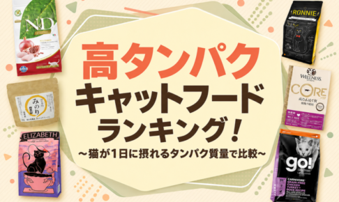 高タンパクキャットフードランキング！猫が1日に摂れるタンパク質量で比較