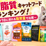 高脂質キャットフードランキング!猫が1日に摂れる脂質量で比較