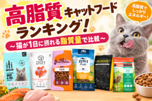 高脂質キャットフードランキング!猫が1日に摂れる脂質量で比較