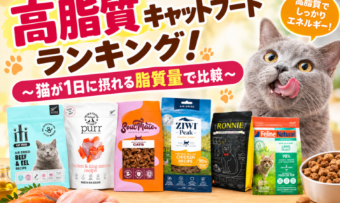 高脂質キャットフードランキング！猫が1日に摂れる脂質量で比較