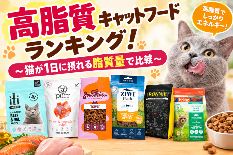 高脂質キャットフードランキング！猫が1日に摂れる脂質量で比較